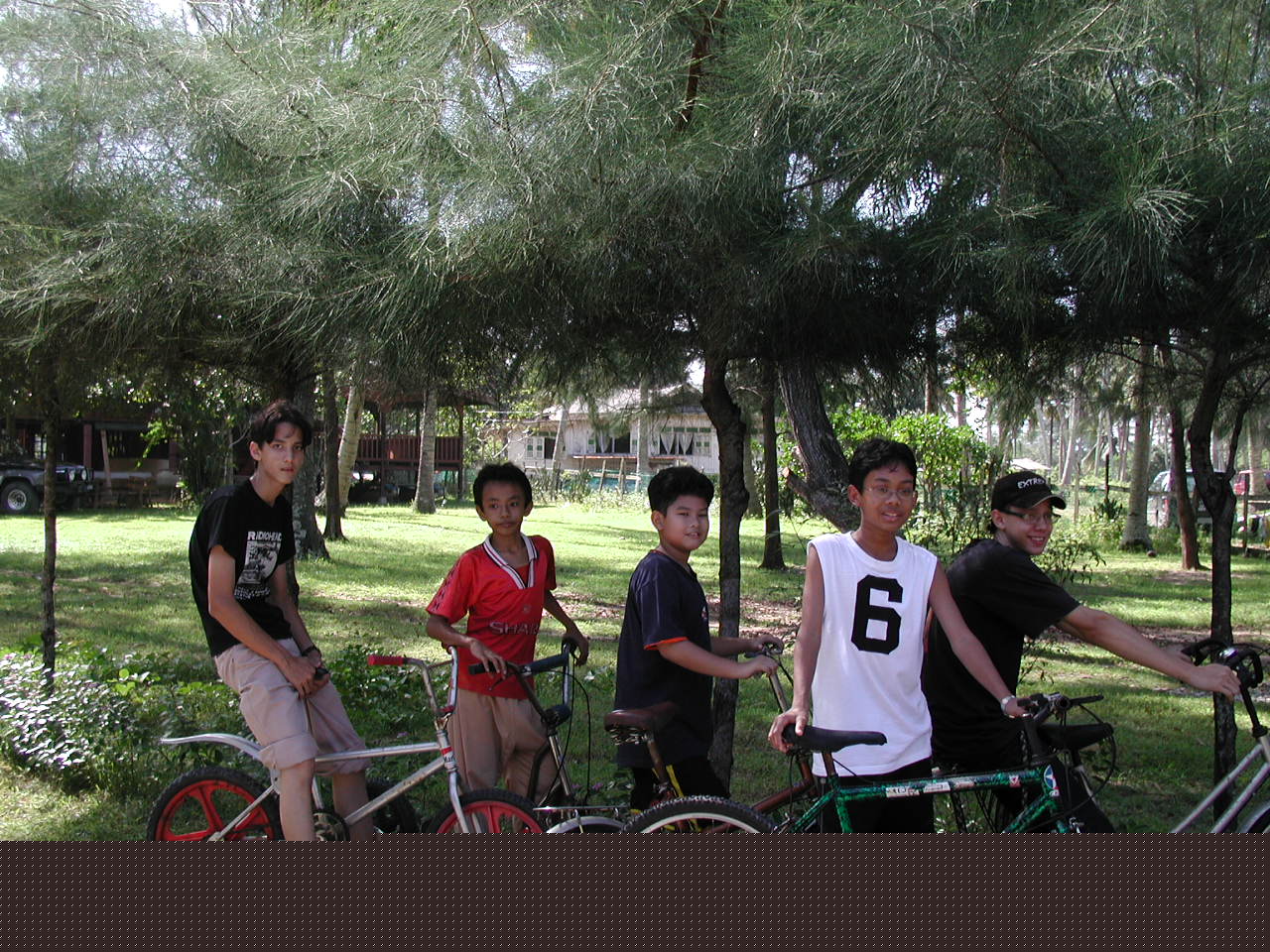 local street gang.jpg